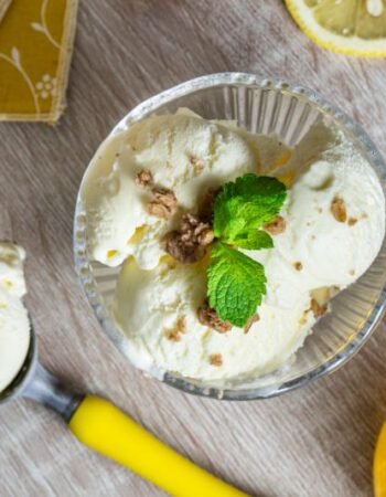 Sorveteria Modelo