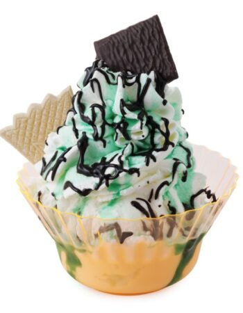 Sorveteria Modelo